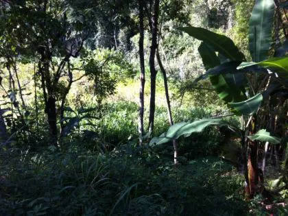 Resort para venda em Alambari